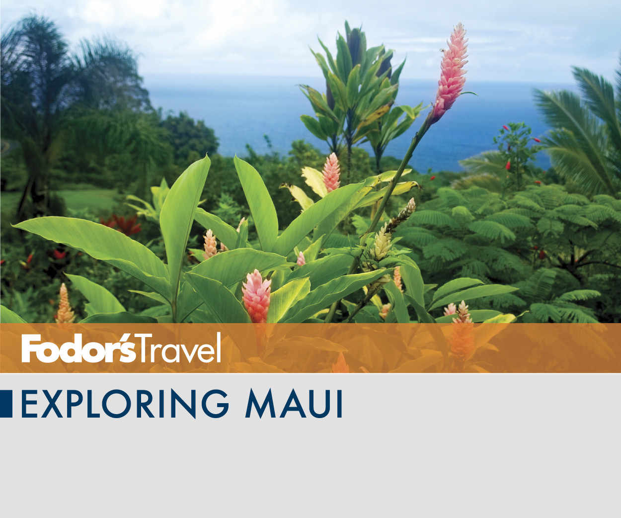 Exploring Maui
