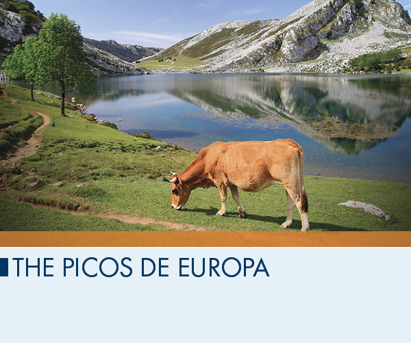 The Picos de Europa