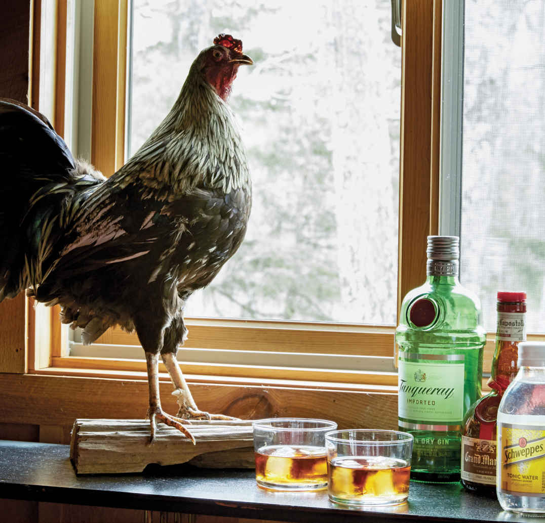 DRINK-A-DOODLE-DO. These homeowners have a thing for birds and taxidermy, so when they spotted this rooster, it came home with them immediately. It now holds court over the couple’s small bar (and is the official mascot of cocktail hour).