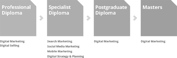 Figure depicting the Digital Marketing Institute's certification roadmap the includes (from left to right) professional diploma (digital marketing and selling), specialist diploma (search marketing, social media marketing, mobile marketing, and so on), postgraduate diploma (digital marketing), and masters (digital marketing)