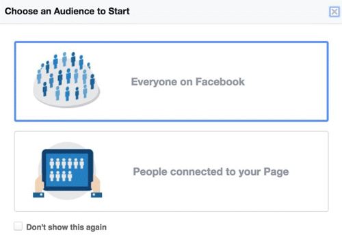 A screenshot depicting a window “choose your audience for Facebook insights.&rdquo