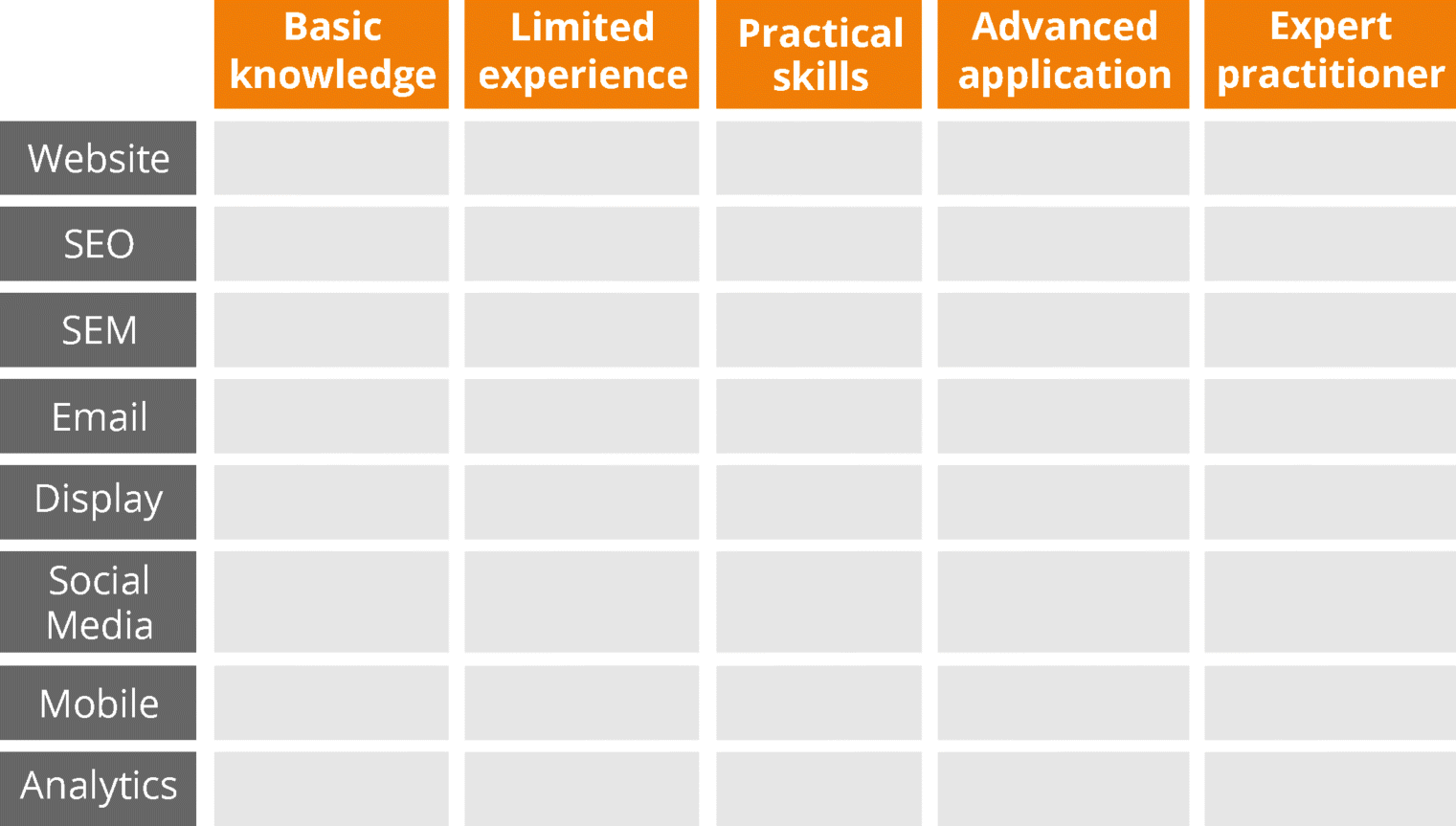 Figure depicting situation analysis chart presented in a tabular form consisting of five columns and eight rows. Starting from left to right the columns indicate basic knowledge, limited experience, practical skills, advanced application, and expert practitioner. From top to bottom the row heads indicate website, SEO, SEM, Email, display, social media, mobile, and analytics