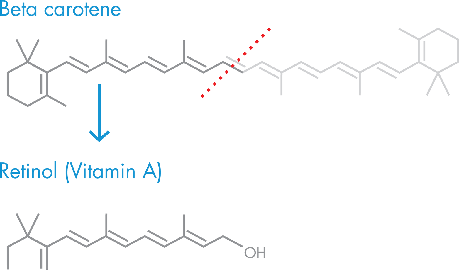 Vitamin A synthesis. Humans acquire vitamin A, also known as retinol, by eating a diet rich in β-carotene, which is cleaved into two molecules of vitamin A during digestion.
