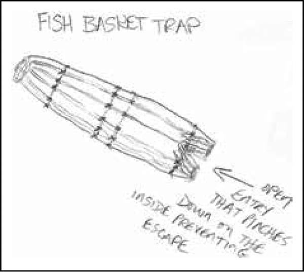 fish basket trap draw on the inside preventive escape 