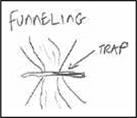 funneling trap