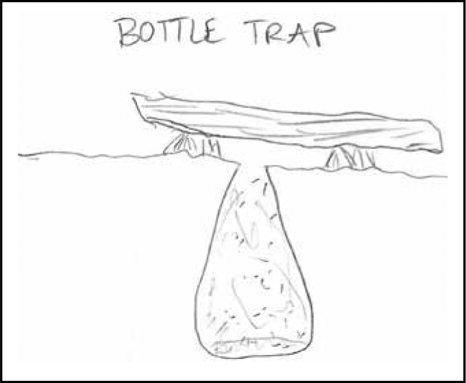 bottle trap