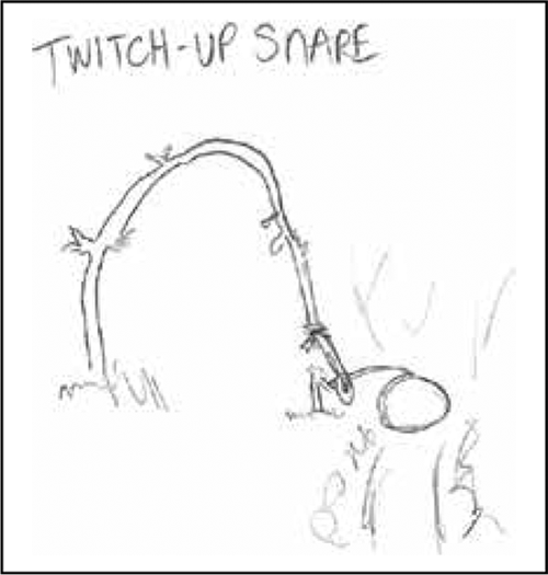twitch-up snare