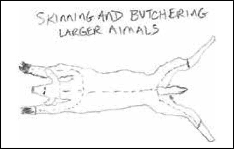 skinning and butchering larger animals