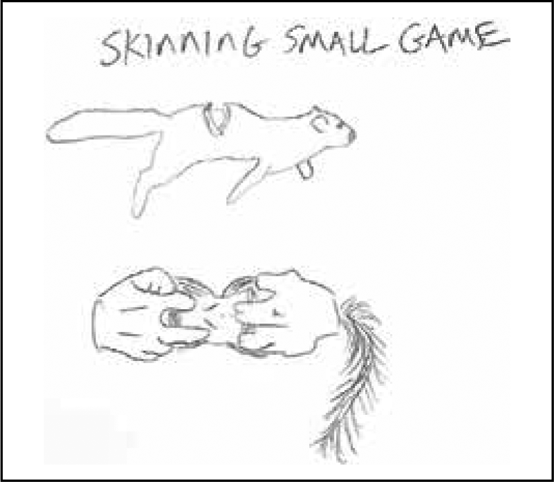 skinning small game