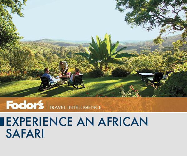 Experience an African Safari