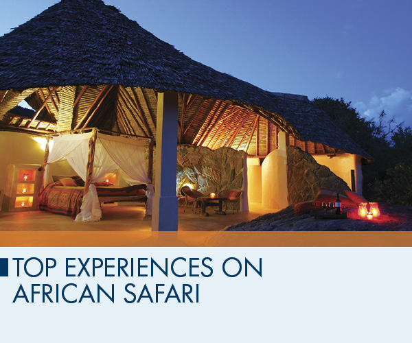 Top Experiences on African Safari