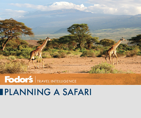 Planning a Safari