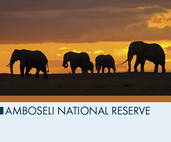 Amboseli National Reserve