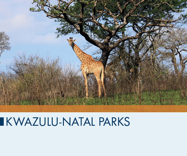 KwaZulu-Natal Parks