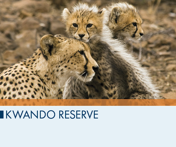 Kwando Reserve