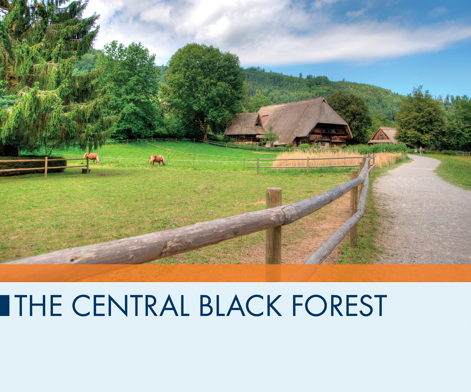 The Central Black Forest