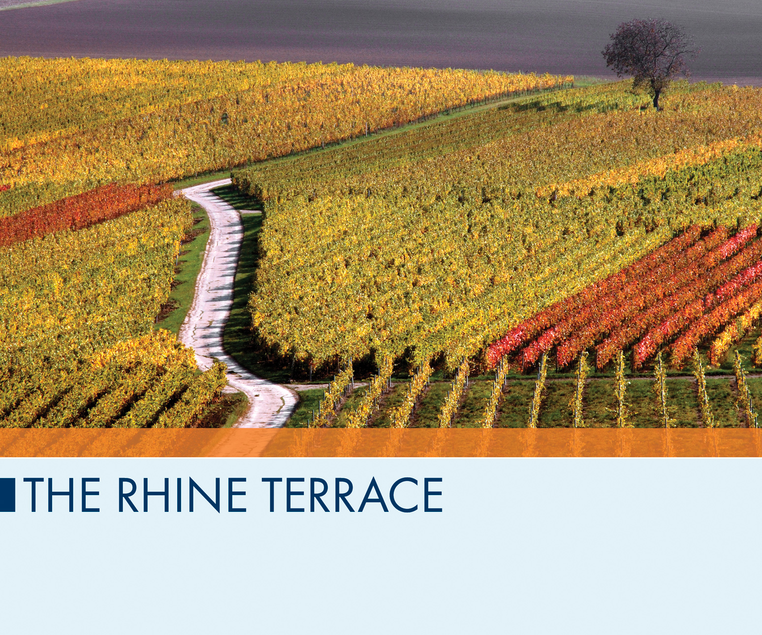 The Rhine Terrace