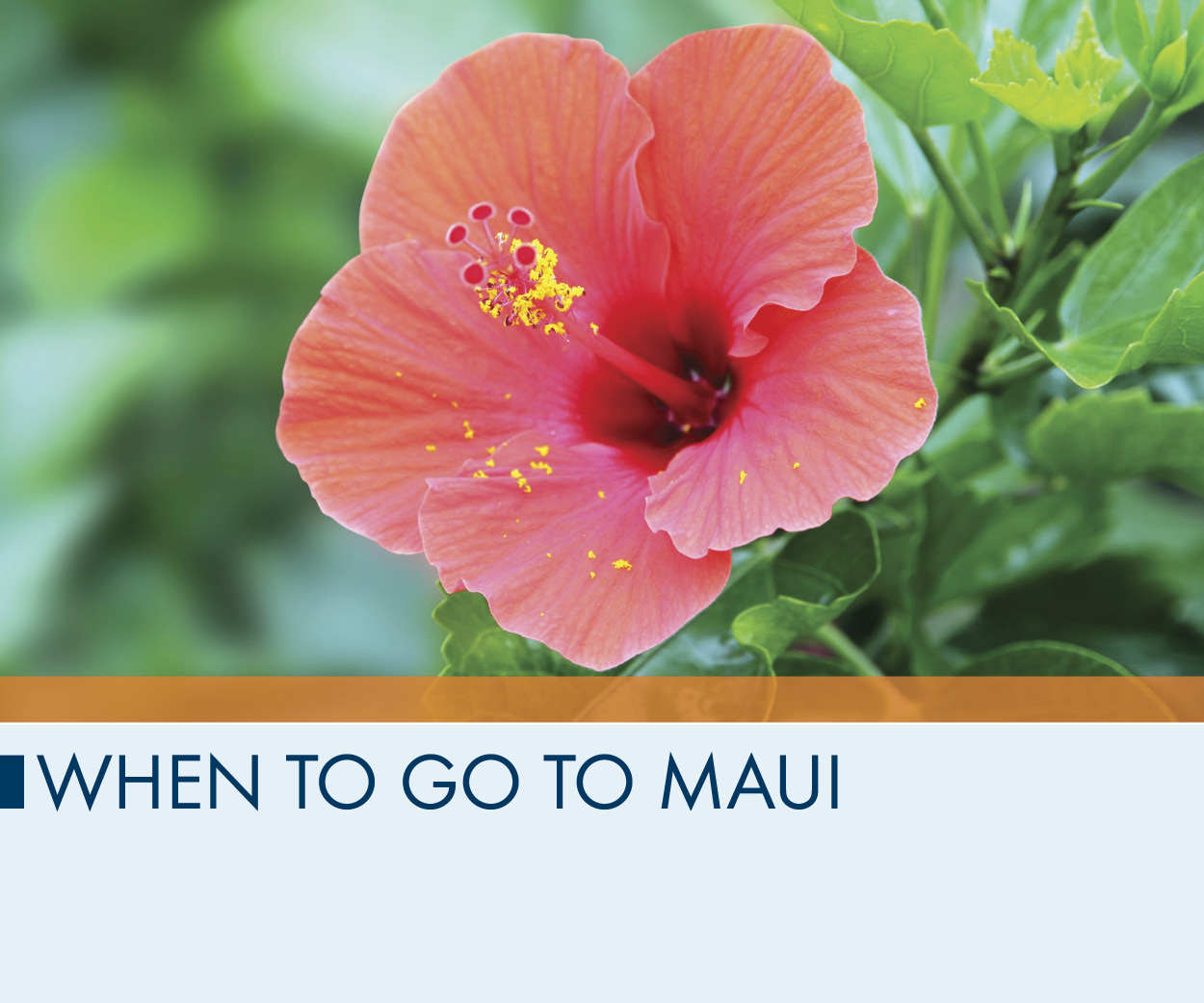 When to Go to Maui