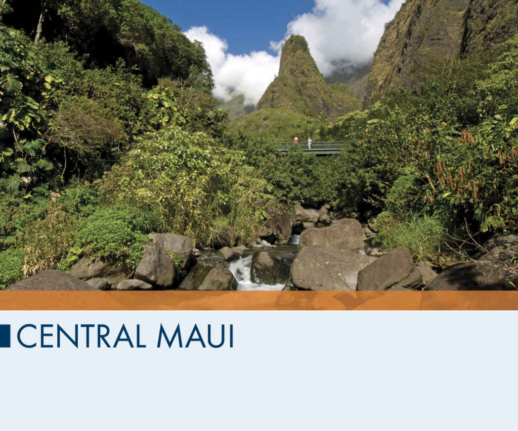 Central Maui