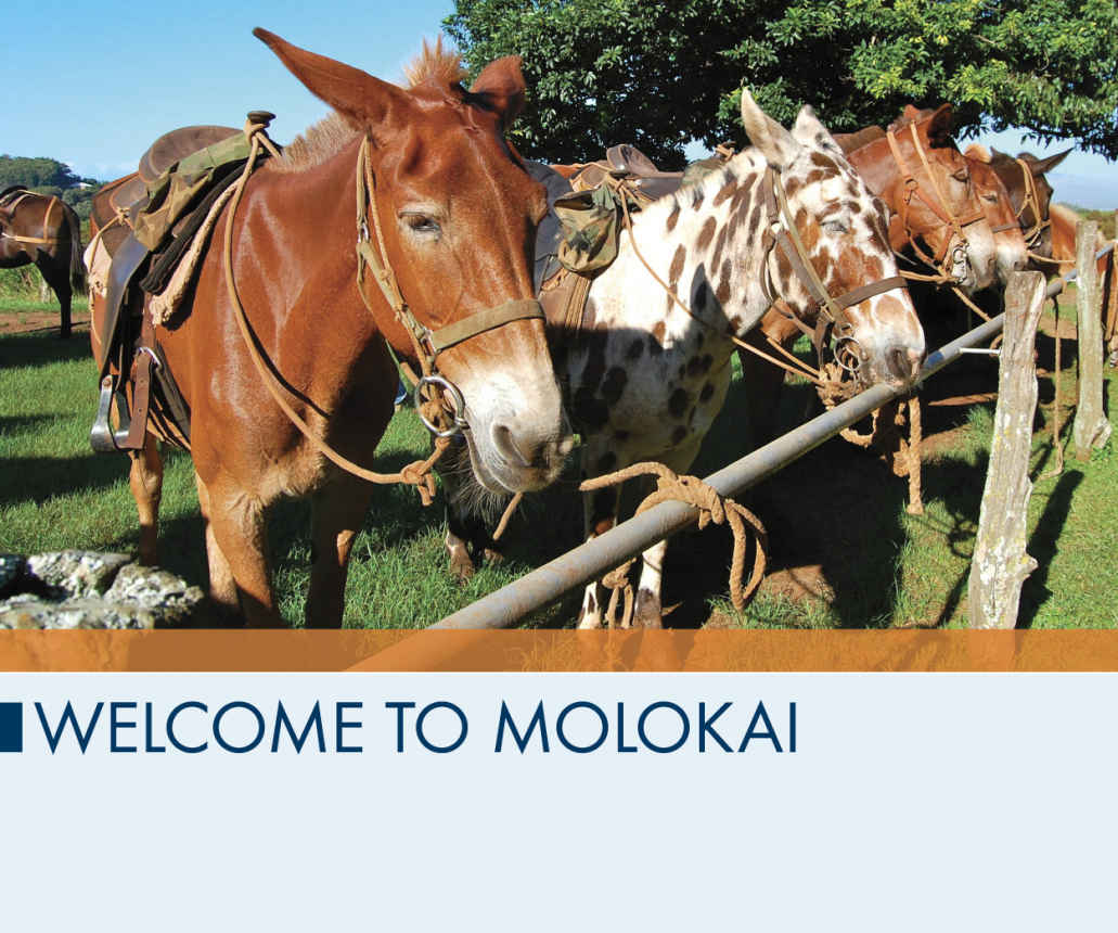 Welcome to Molokai
