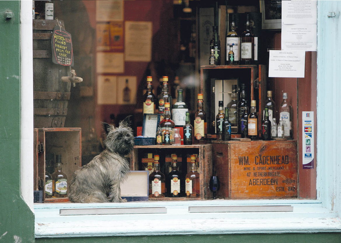 INSIGHT_GUIDES_DOG_IN_WHISKY_SHOP_ROYAL_MILE1_Scotland_EC
