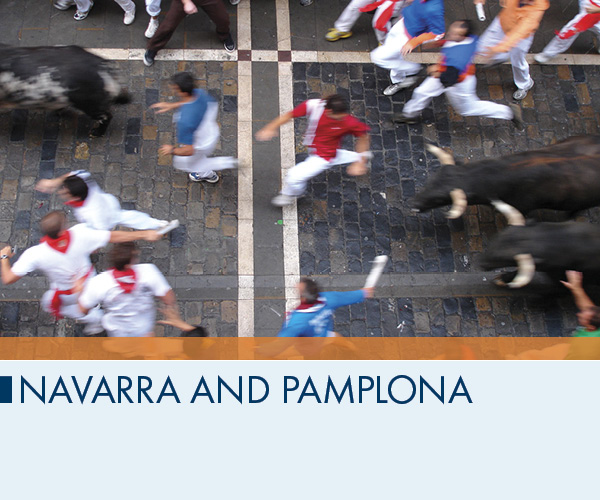 Navarra and Pamplona