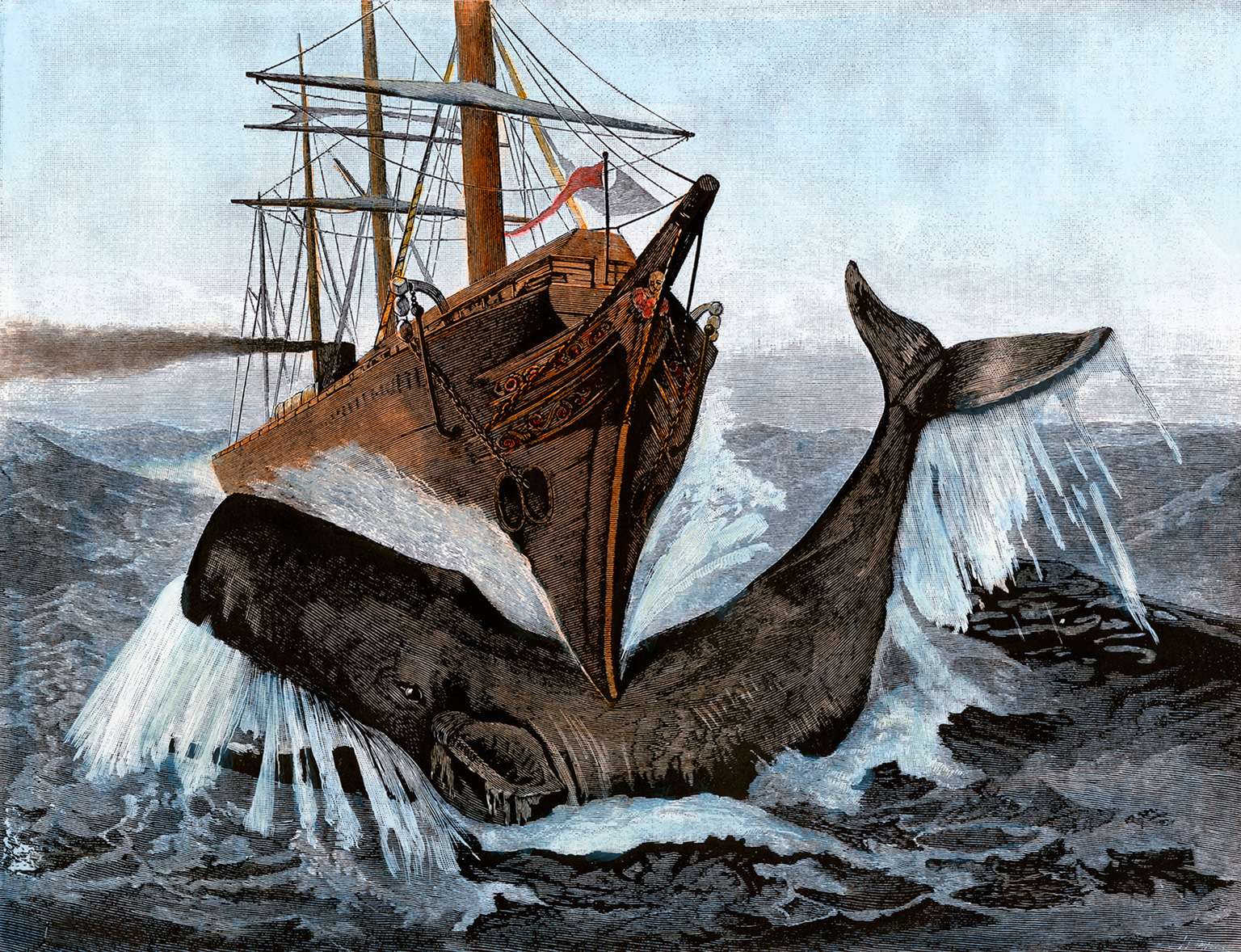 The Nantucket whaling ship Essex encountered a large sperm whale in the Pac...